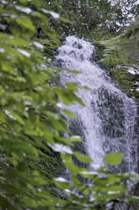 Wasserfall Kaikoura 3